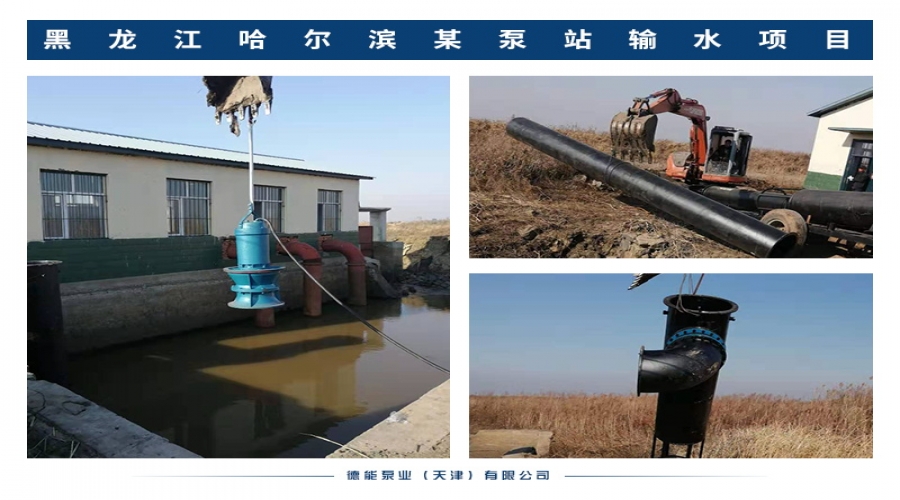 黑龙江哈尔滨某泵站输水项目