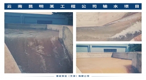 云南昆明某工程公司输水项目